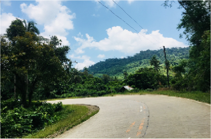 海外道路設計